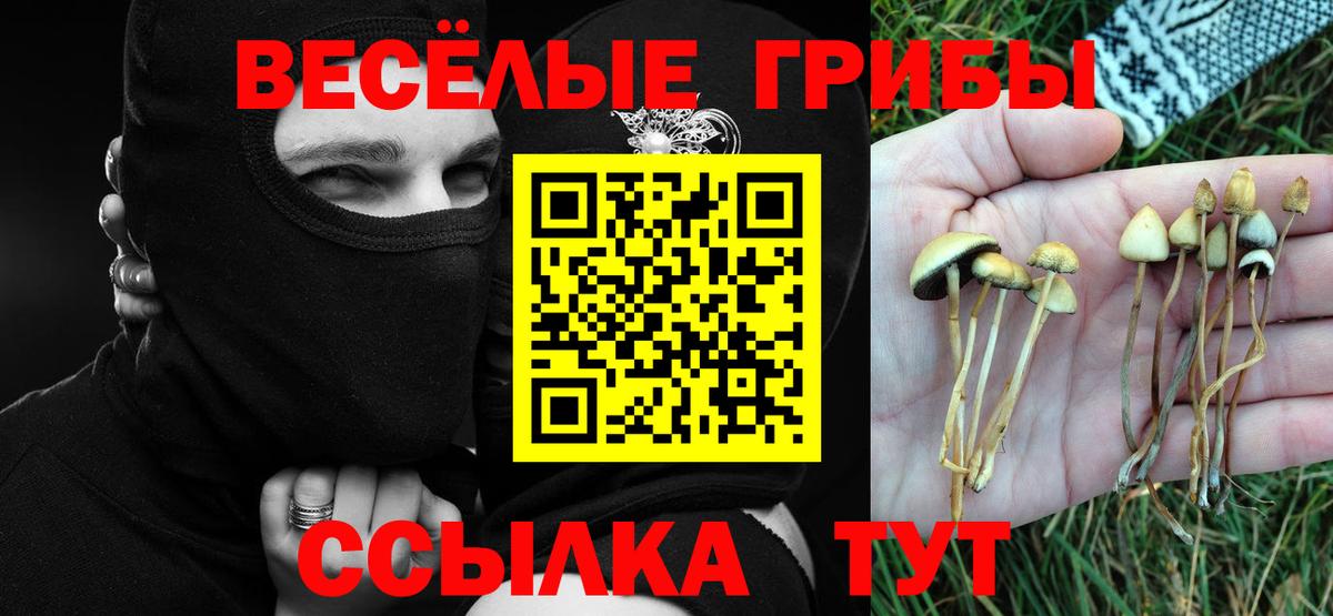 Галлюциногенные грибы Magic Shrooms  Вход с VPN  Глазов 